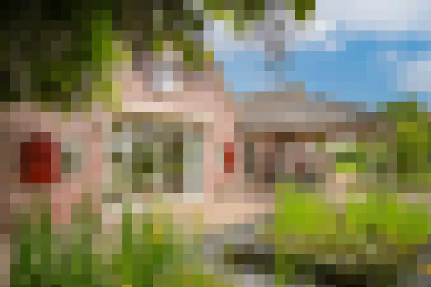 Veerstraat 9 a Dreumel thumbnail 38