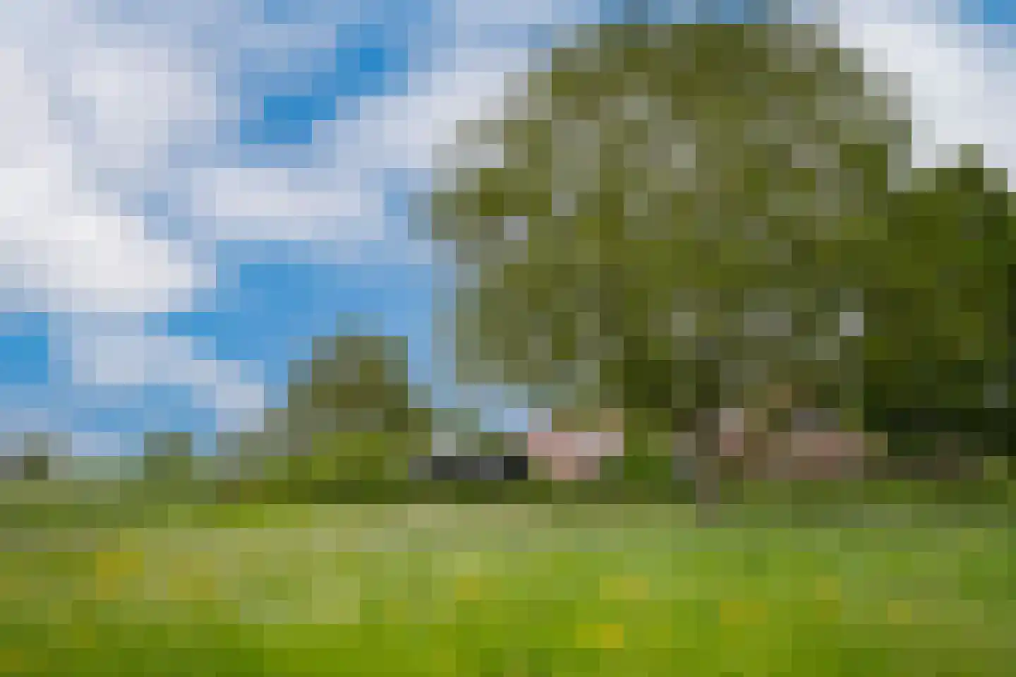 Veerstraat 9 a Dreumel thumbnail 43