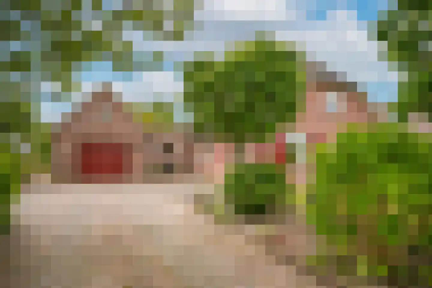 Veerstraat 9 a Dreumel thumbnail 48