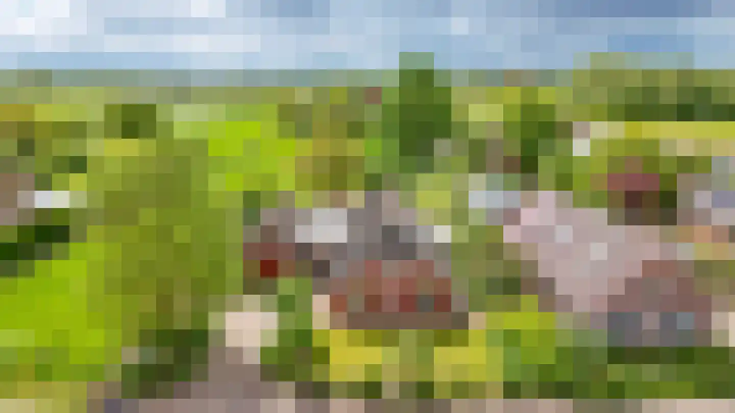 Veerstraat 9 a Dreumel thumbnail 52