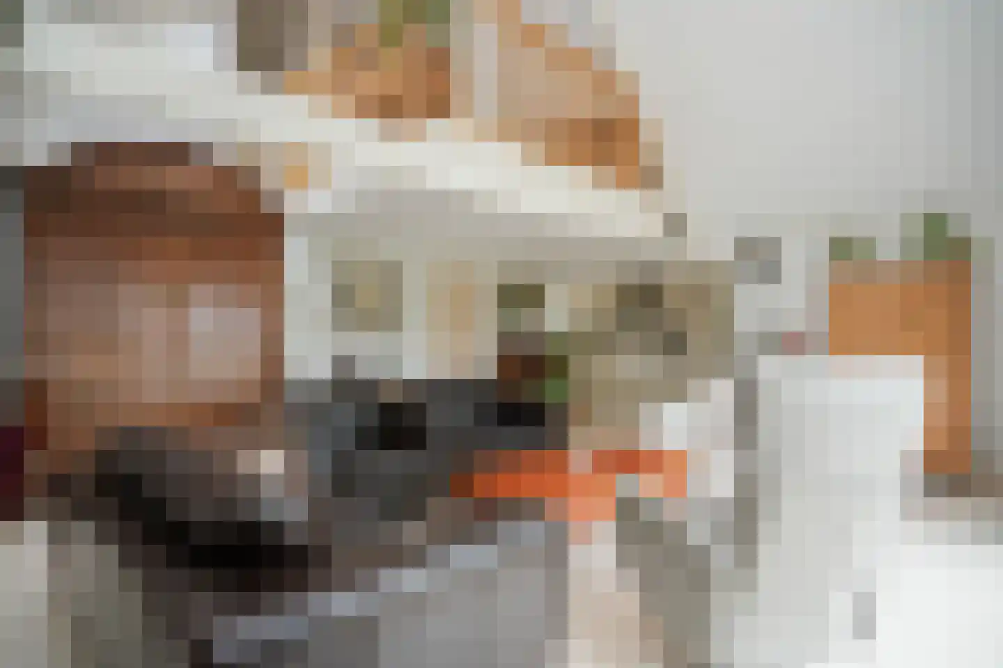 Veerstraat 9 a Dreumel thumbnail 7