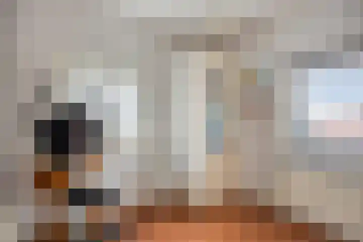 Veerstraat 9 Heerde thumbnail 14
