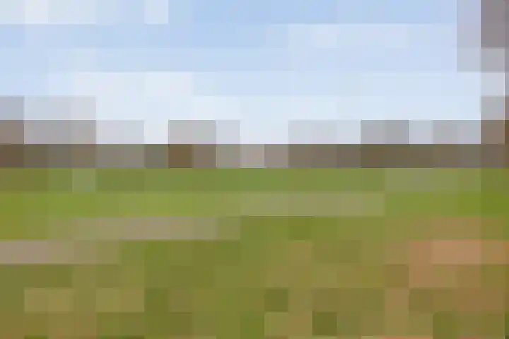 Veerstraat 9 Heerde thumbnail 28