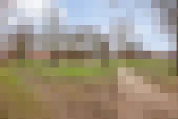 Veerstraat 9 Heerde thumbnail 29