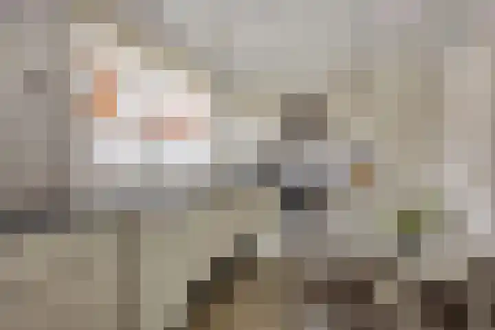 Veerstraat 9 Heerde thumbnail 7
