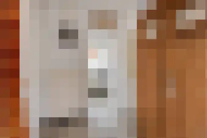 Veerstraat 9 Heerde thumbnail 9