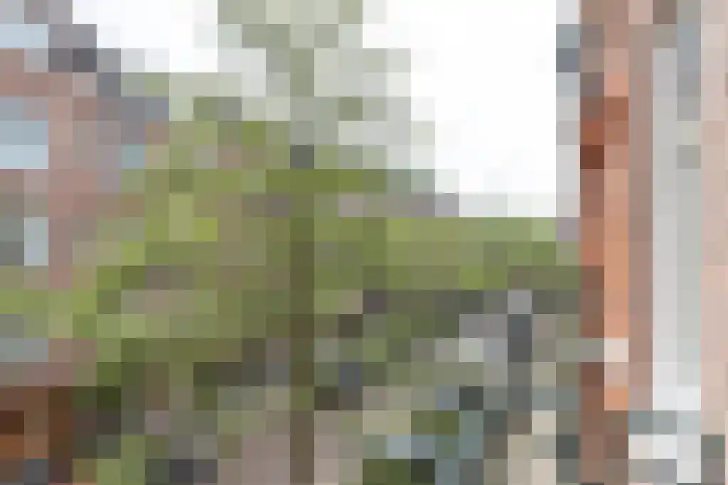 Veerstraat Amsterdam thumbnail 4