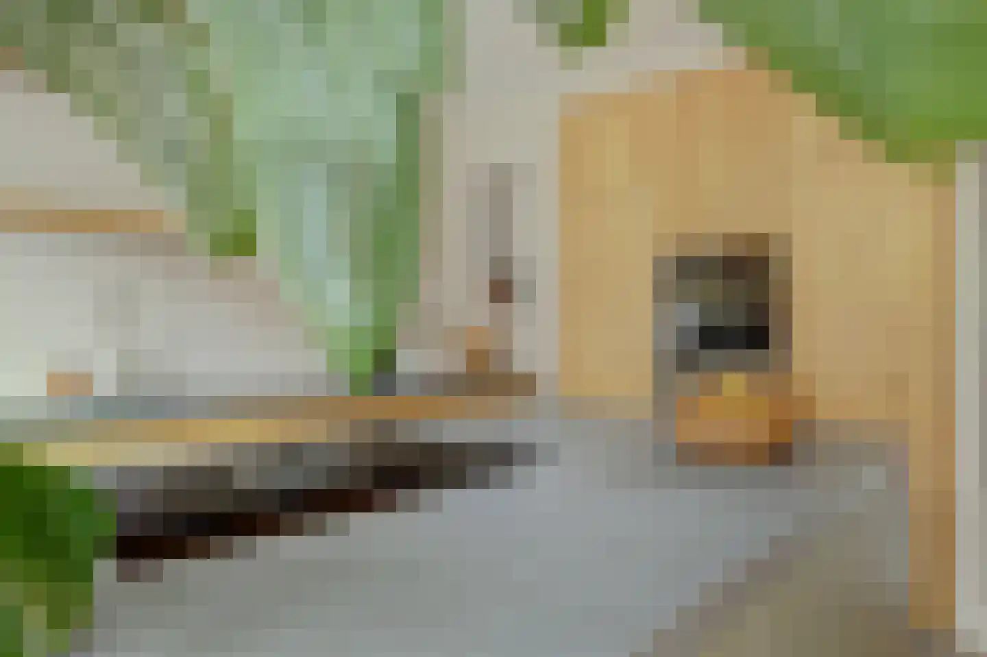 Veertakker 11 Alkmaar thumbnail 21