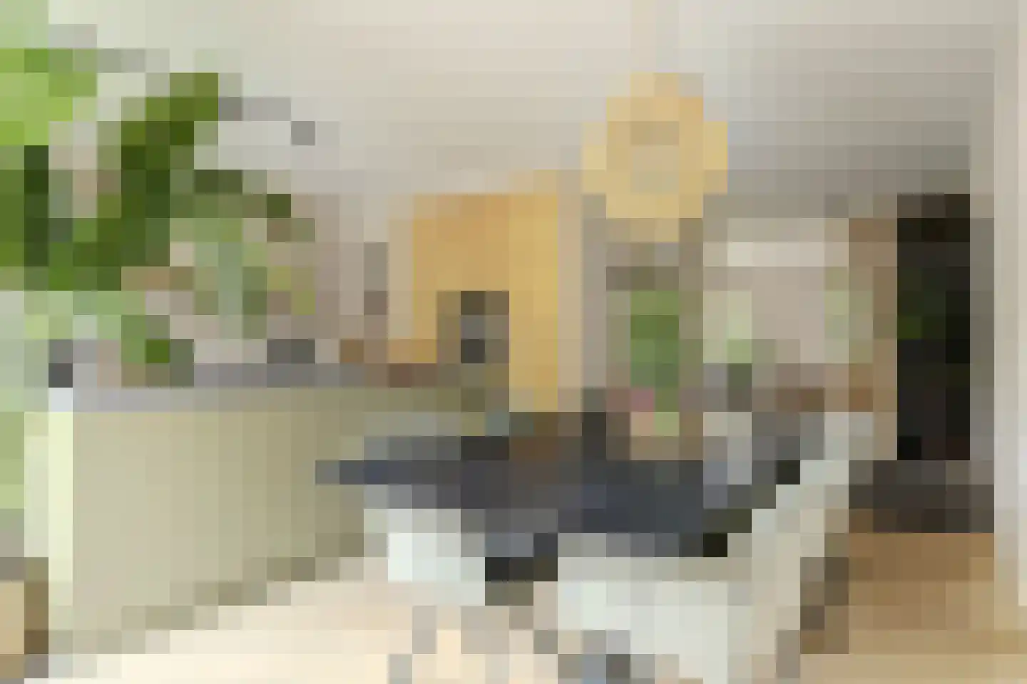 Veertakker 11 Alkmaar thumbnail 24