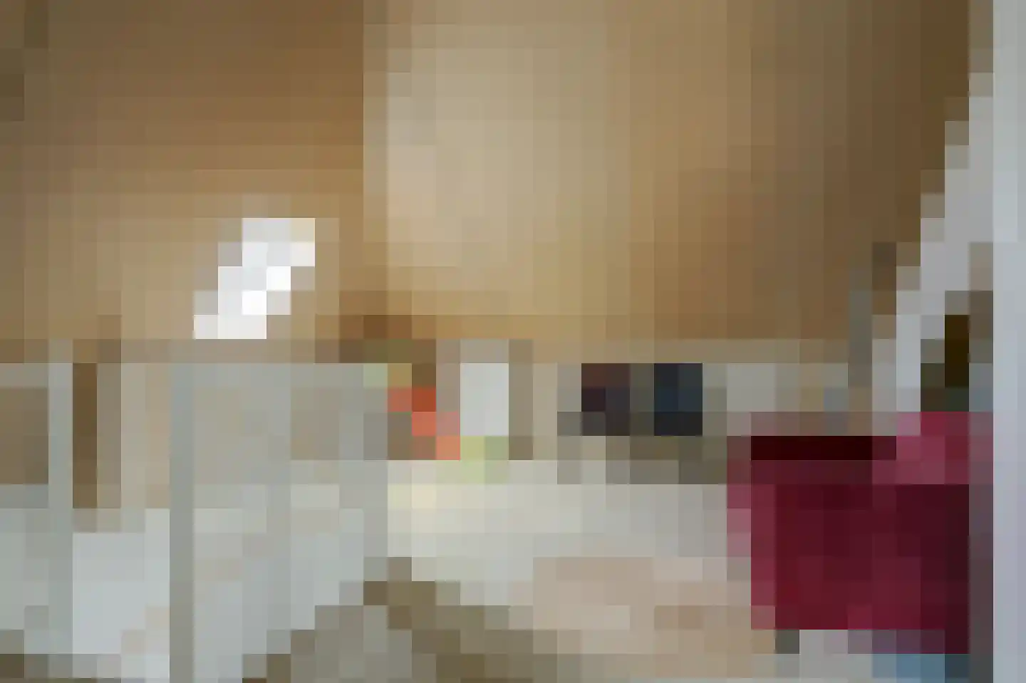 Veertakker 11 Alkmaar thumbnail 39
