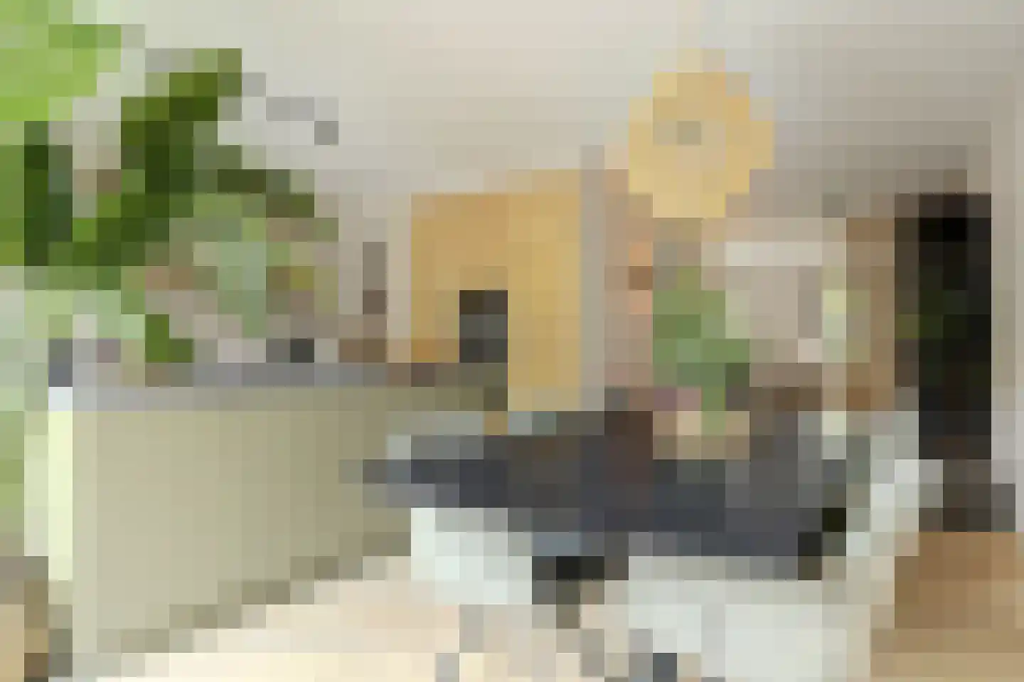 Veertakker 11 Alkmaar thumbnail 7