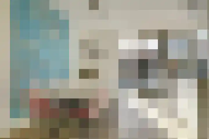 Veertakker 3 Alkmaar thumbnail 14