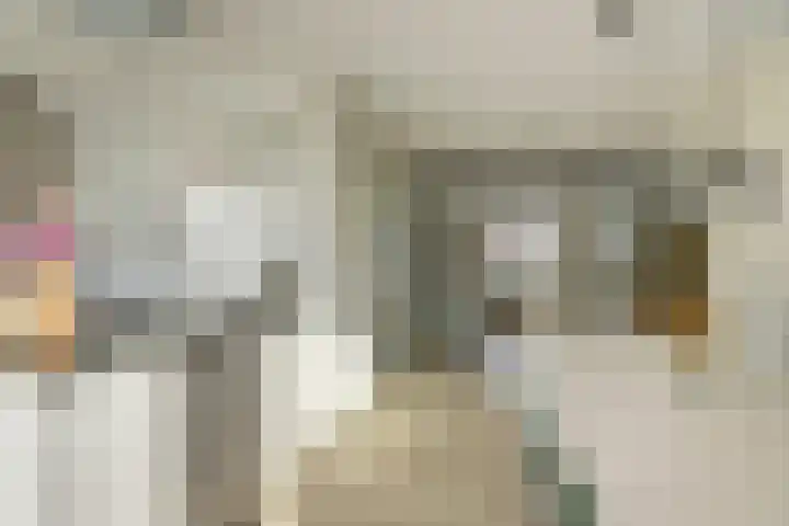 Veertakker 3 Alkmaar thumbnail 15
