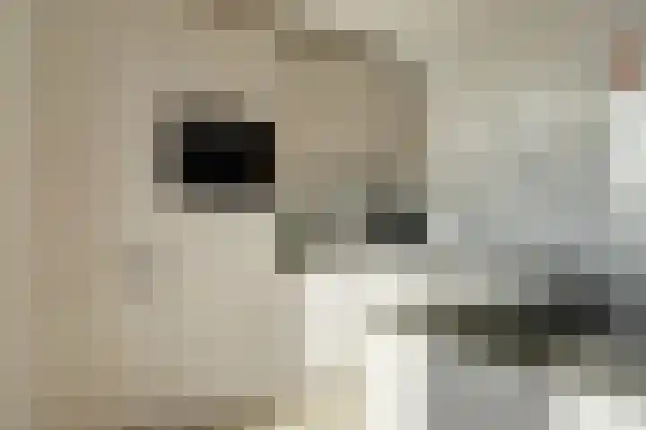 Veertakker 3 Alkmaar thumbnail 17