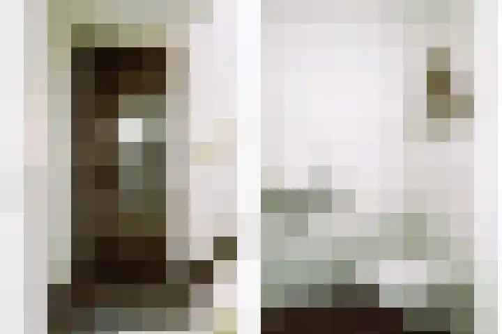 Veertakker 3 Alkmaar thumbnail 20