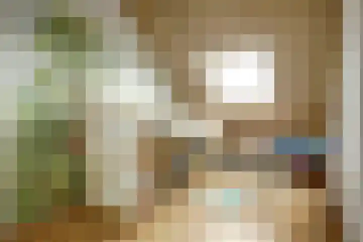 Veertakker 3 Alkmaar thumbnail 34