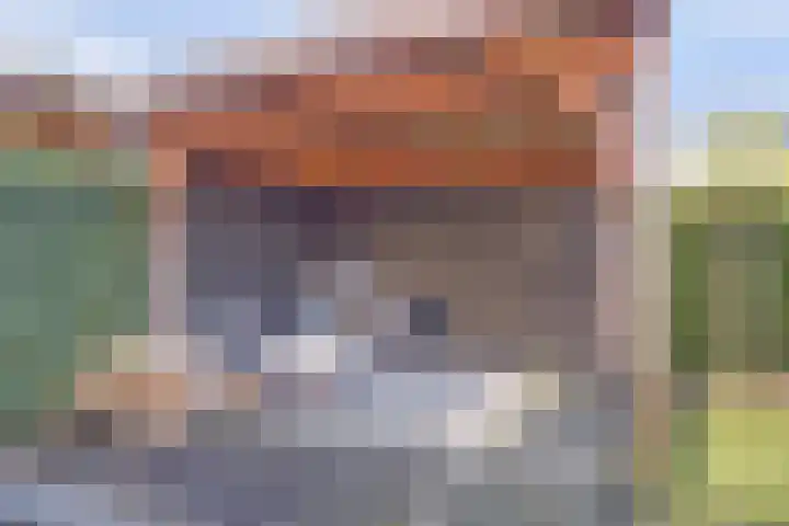 Veertakker 3 Alkmaar thumbnail 37