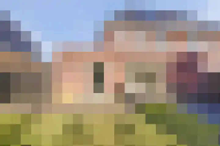 Veertakker 3 Alkmaar thumbnail 39