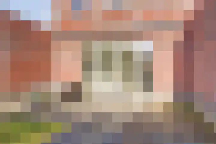 Veertakker 3 Alkmaar thumbnail 40