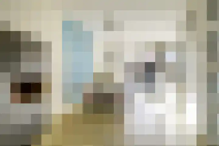 Veertakker 3 Alkmaar thumbnail 7