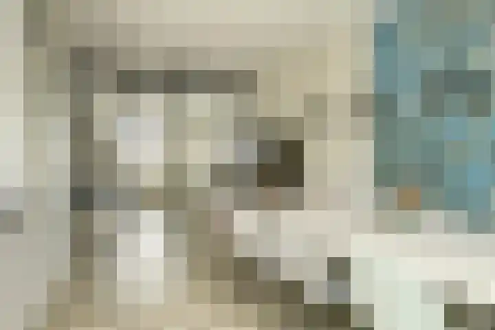 Veertakker 3 Alkmaar thumbnail 8