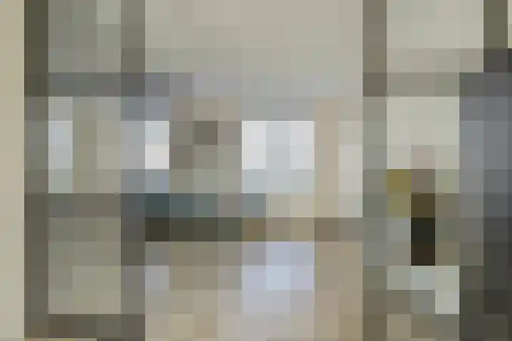 Veertakker 3 Alkmaar thumbnail 9