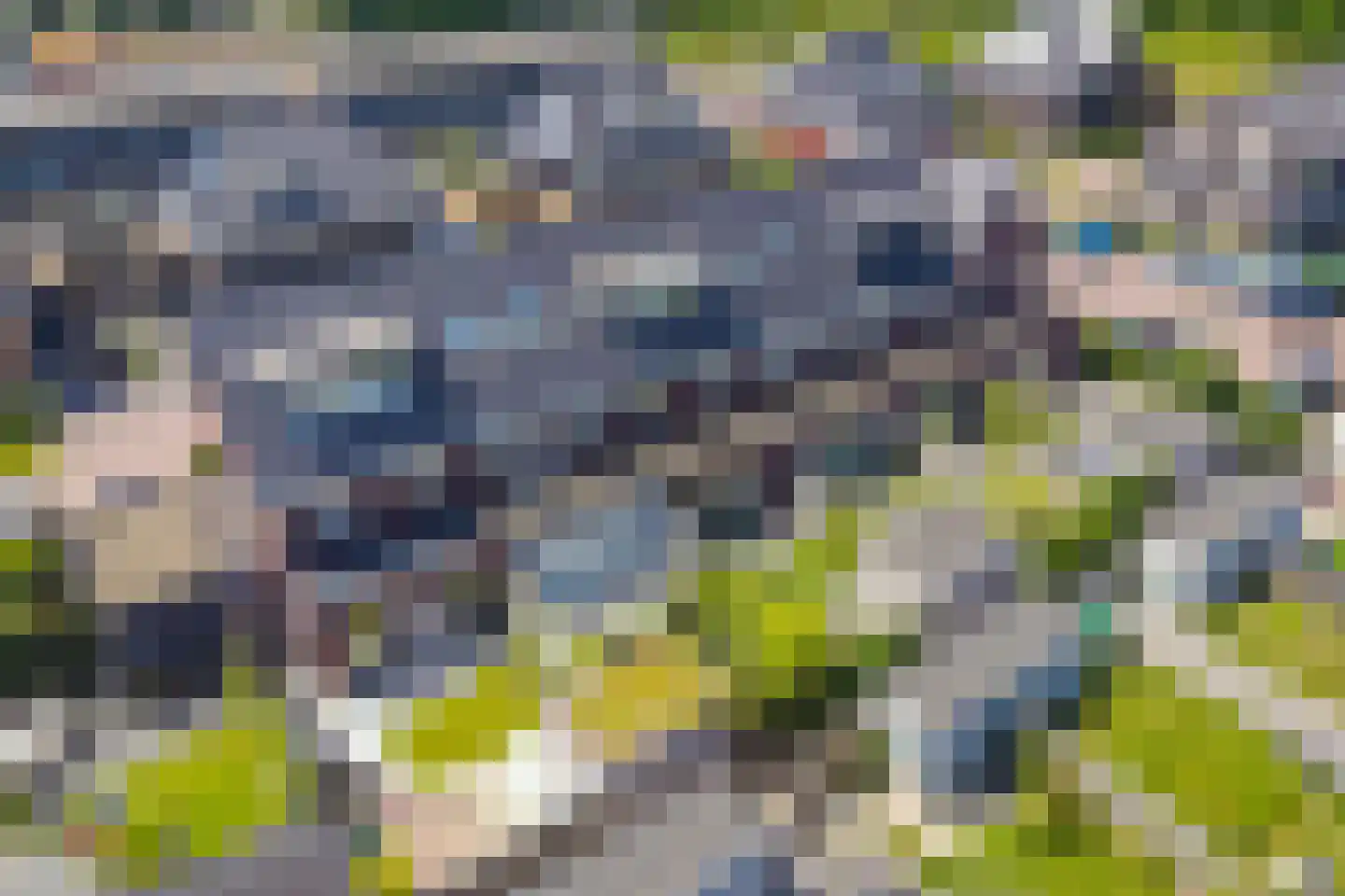 Veertakker 6 Alkmaar thumbnail 37