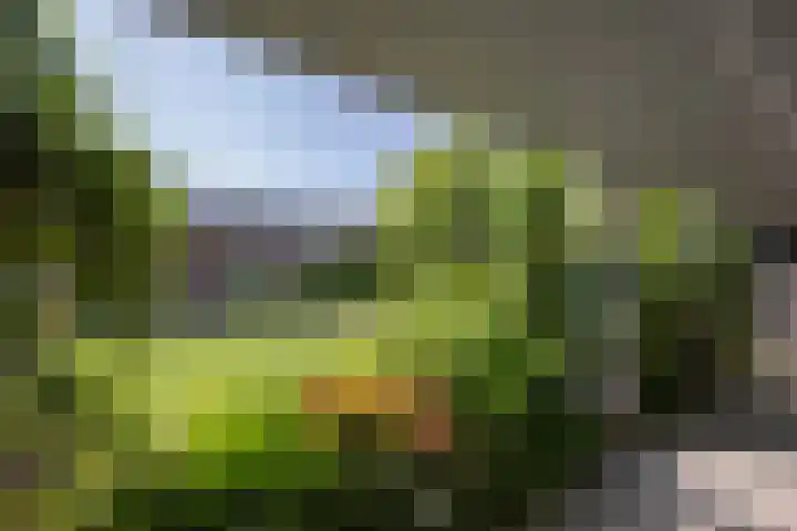 Veertels 10 Riel thumbnail 10