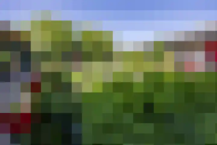 Veertels 10 Riel thumbnail 11