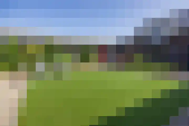 Veertels 10 Riel thumbnail 12