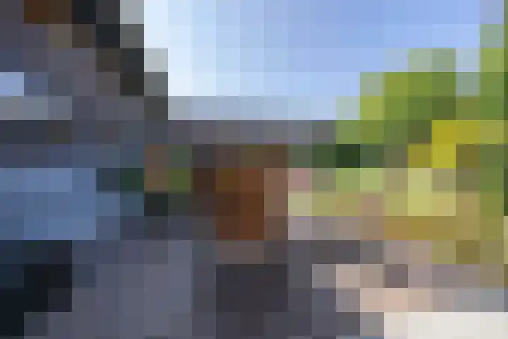 Veertels 10 Riel thumbnail 13
