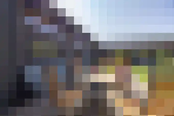 Veertels 10 Riel thumbnail 14