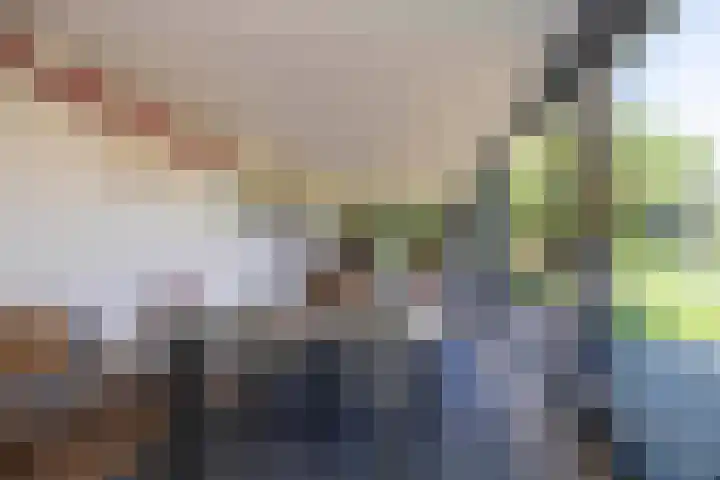 Veertels 10 Riel thumbnail 30