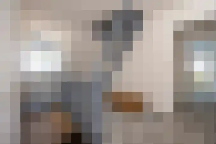 Veertels 10 Riel thumbnail 47