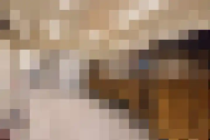 Veertels 10 Riel thumbnail 58