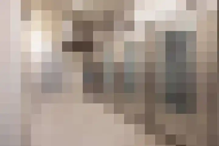 Veertels 10 Riel thumbnail 59