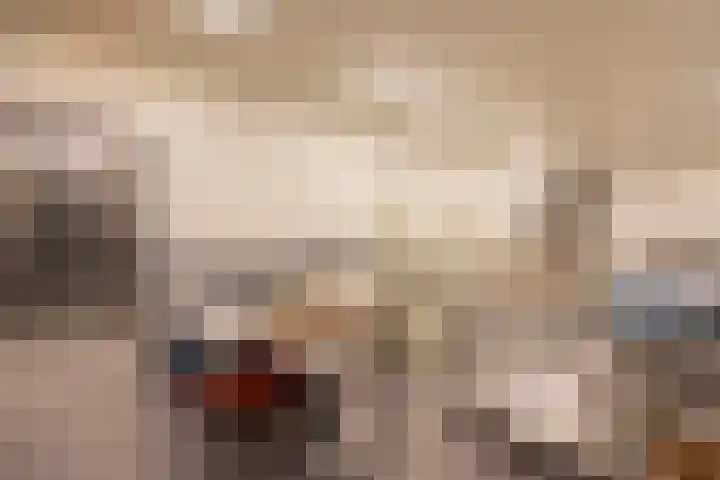 Veertels 10 Riel thumbnail 63