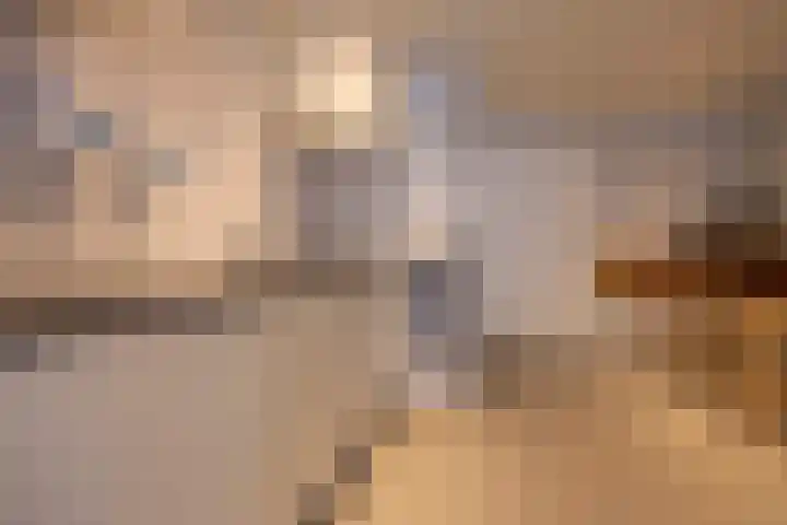 Veertels 10 Riel thumbnail 65