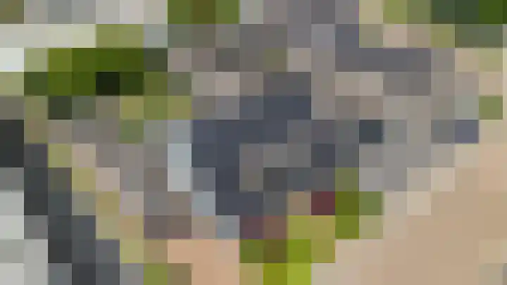 Veertels 10 Riel thumbnail 68
