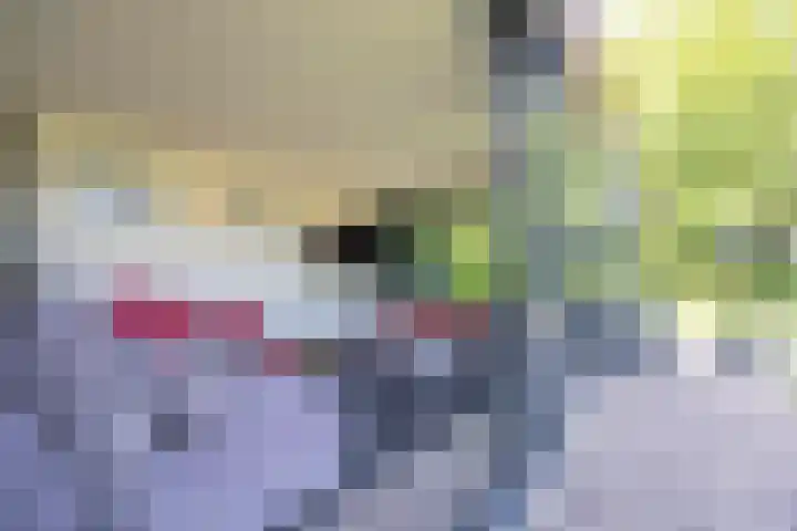 Veertels 10 Riel thumbnail 7