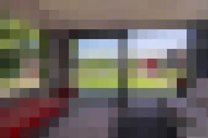 Veertels 10 Riel thumbnail 8