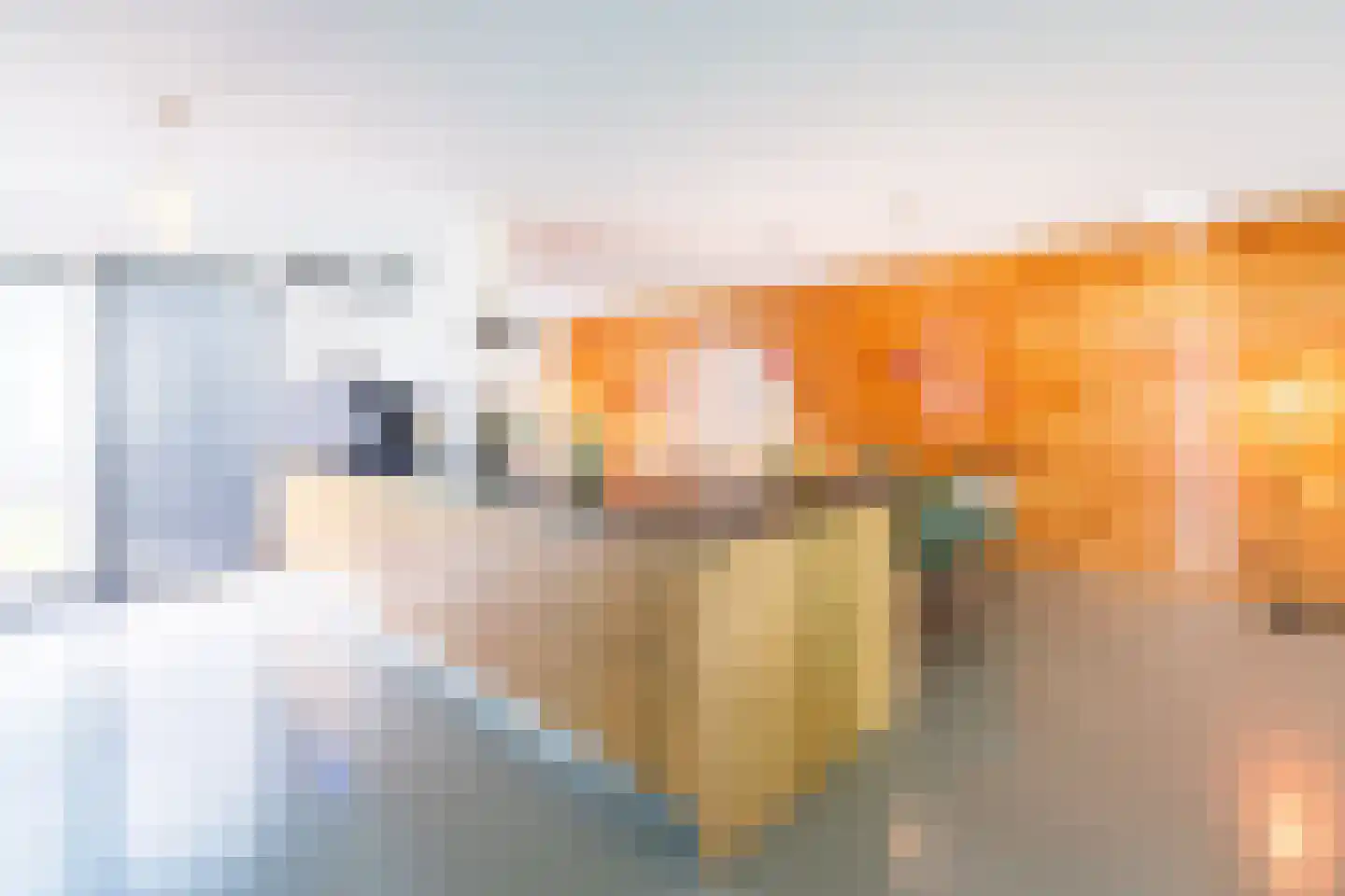 Veertels 5 Riel thumbnail 13