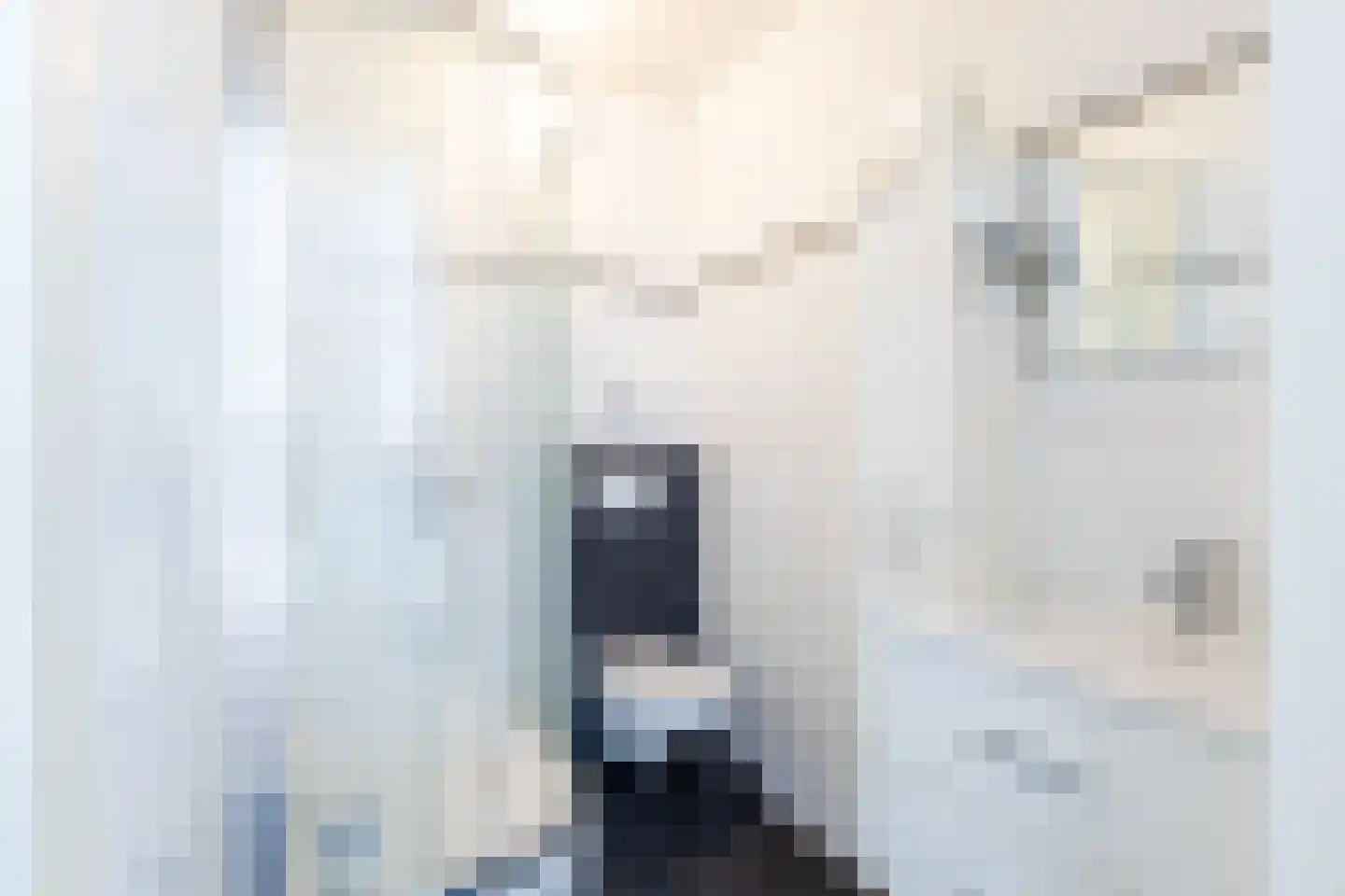 Veertels 5 Riel thumbnail 28