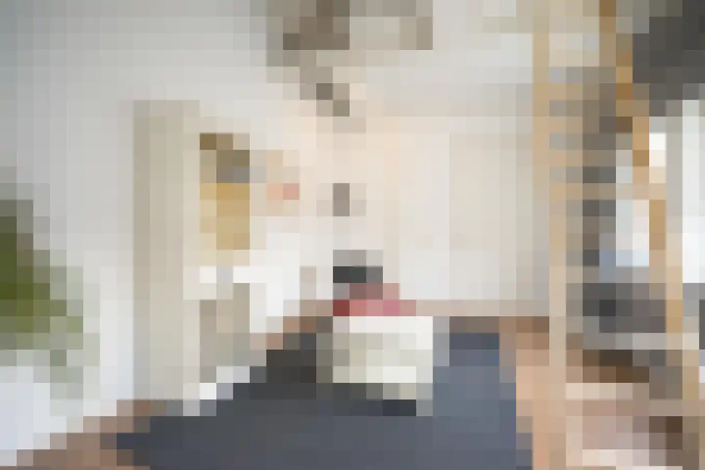 Veertels 5 Riel thumbnail 29