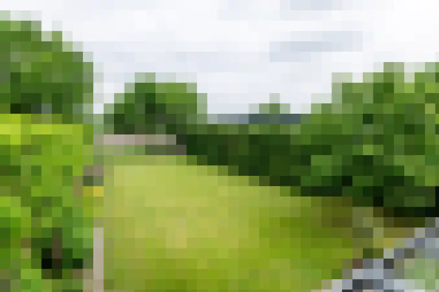 Veertels 5 Riel thumbnail 35