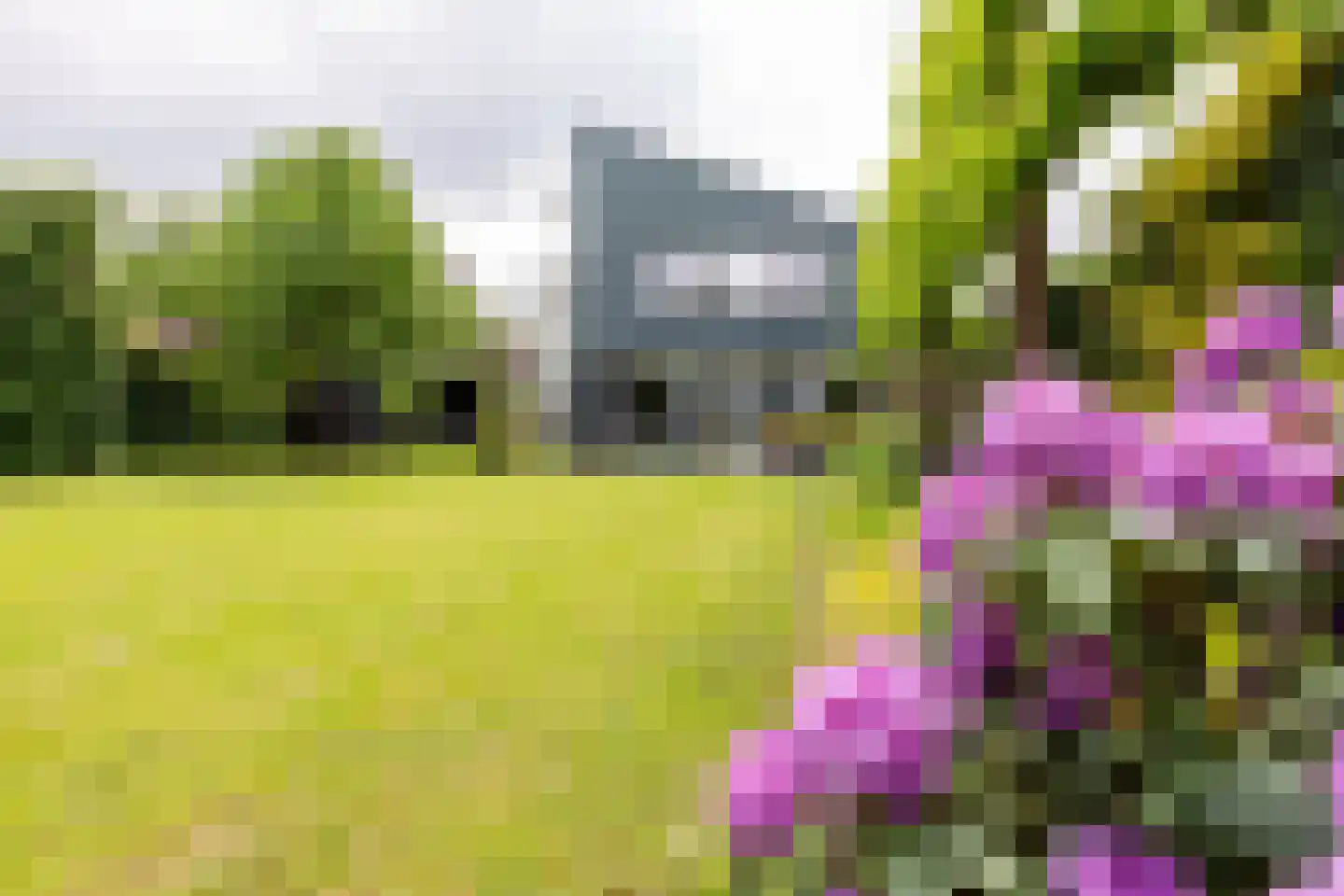 Veertels 5 Riel thumbnail 37
