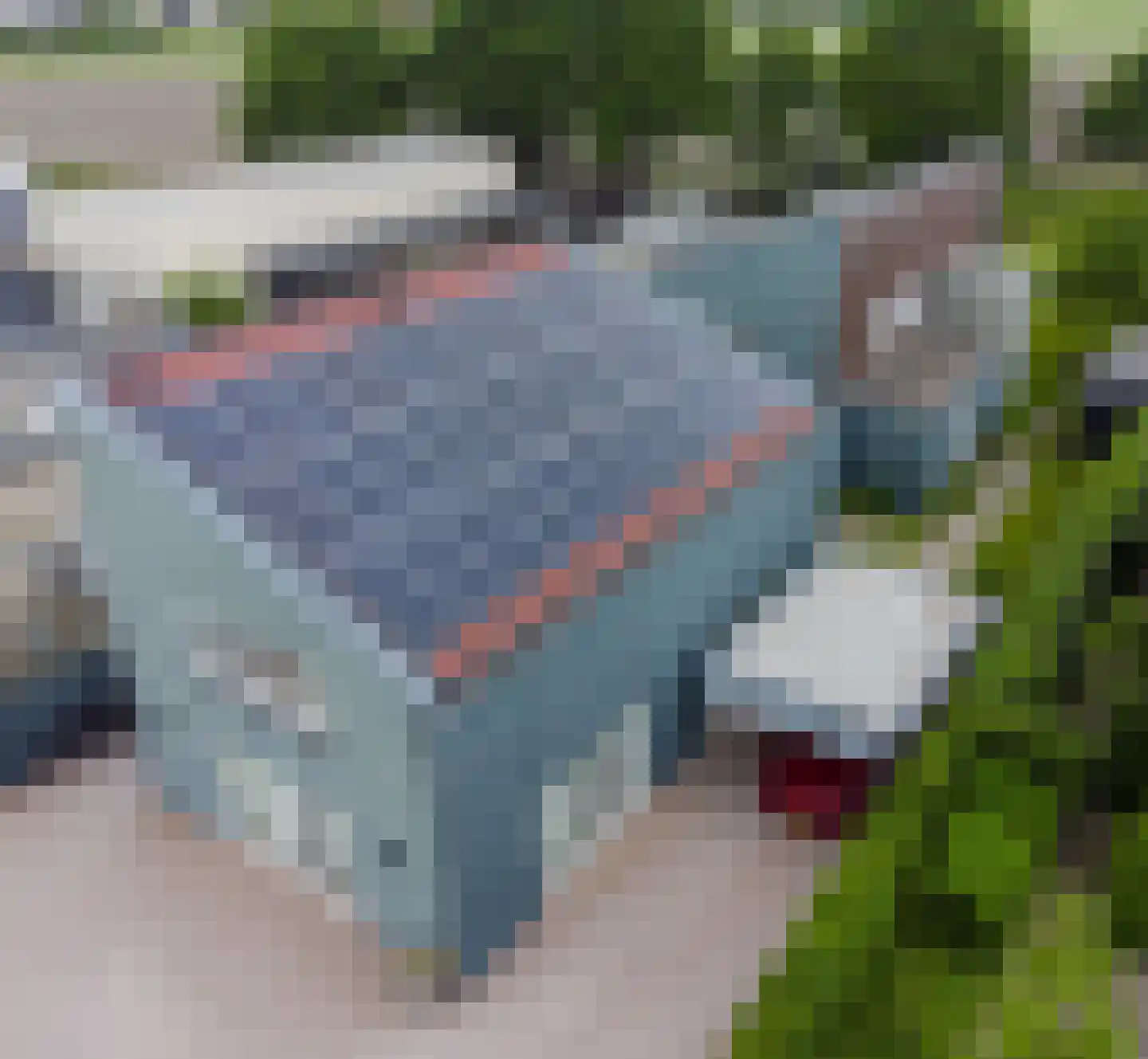Veertels 5 Riel thumbnail 4