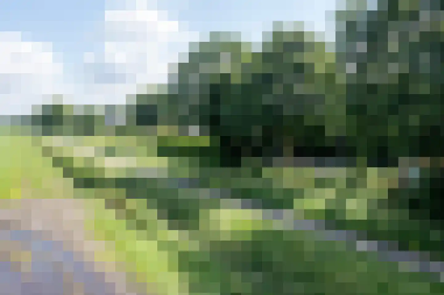 Veertels 5 Riel thumbnail 40
