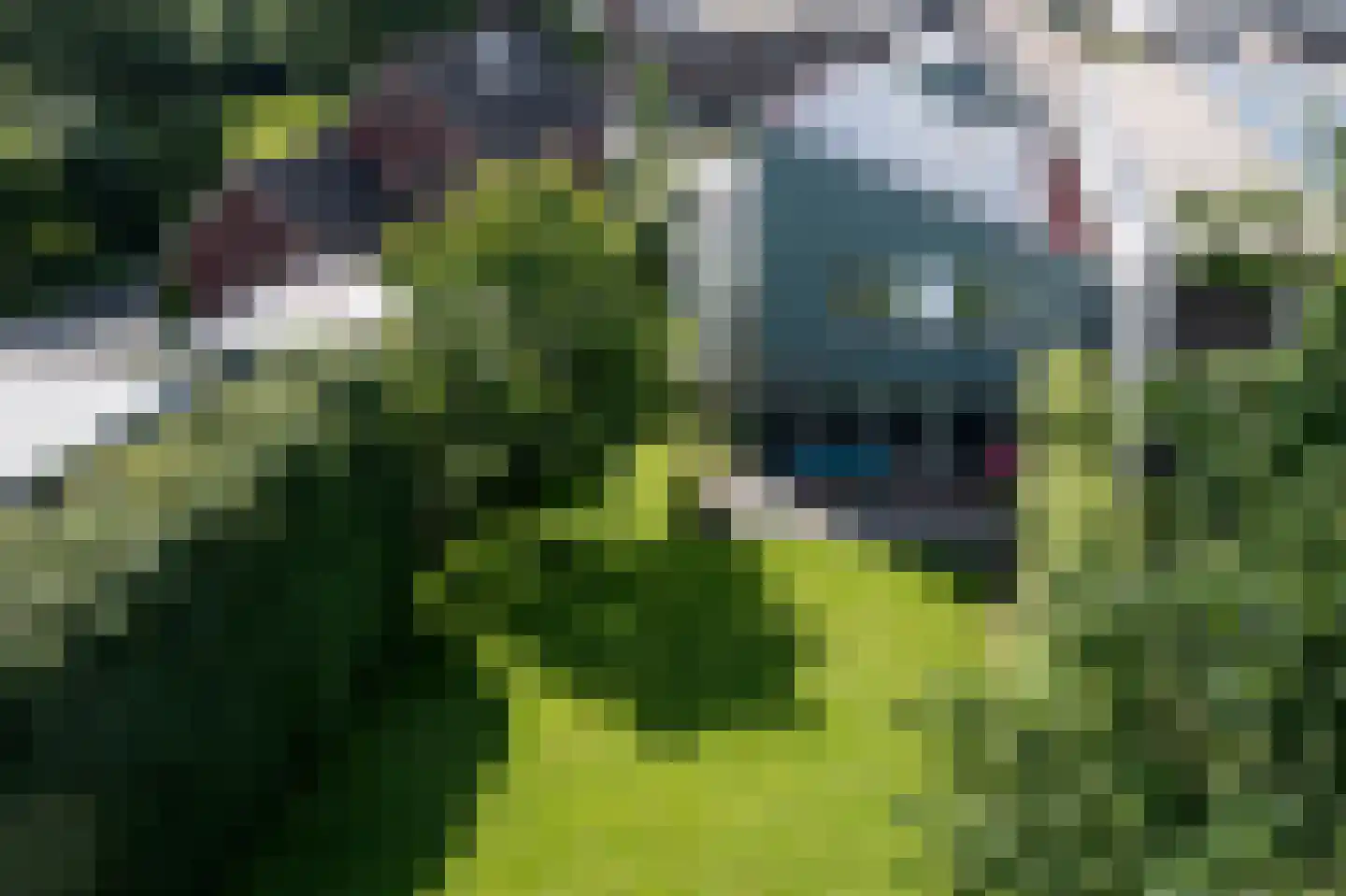 Veertels 5 Riel thumbnail 7