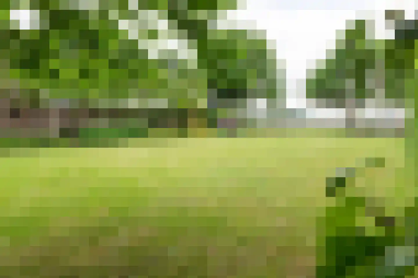 Veertels 5 Riel thumbnail 8